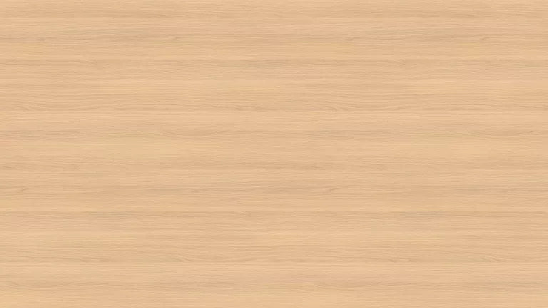 HPL Laminat ST19, Stejar Vicenza Decolorat, Egger